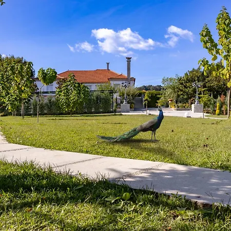 Villa Villam Vale Da Estrela Guimarães