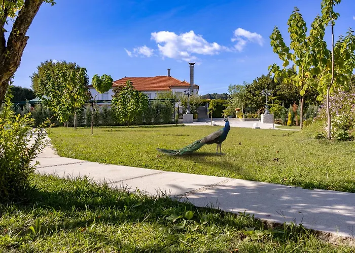 ヴィラ W430 ギマランイス